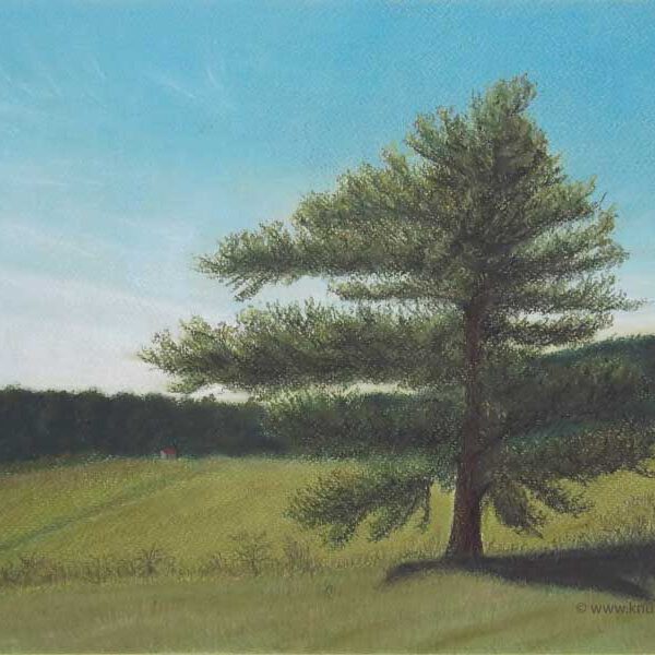 Pastell auf grünem Papier, 28x38 cm