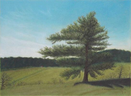 Pastell auf grünem Papier, 28x38 cm
